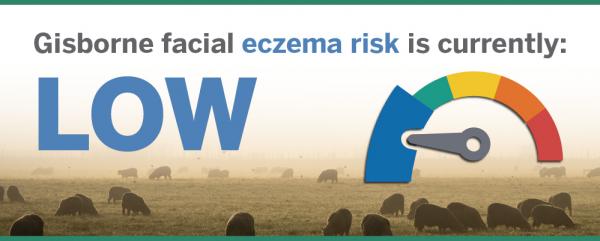 Eastland Vets Advert Low Eczema 999x405