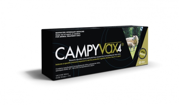 Campyvax4 pack 14